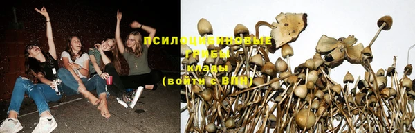 спиды Абдулино