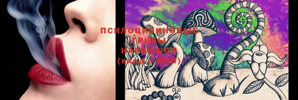 молекула духа Алзамай